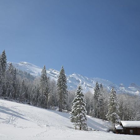 Apartment Chalet Heureka-Horbis Engelberg Buitenkant foto